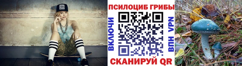 где продают   Чулым  Псилоцибиновые грибы прущие грибы 